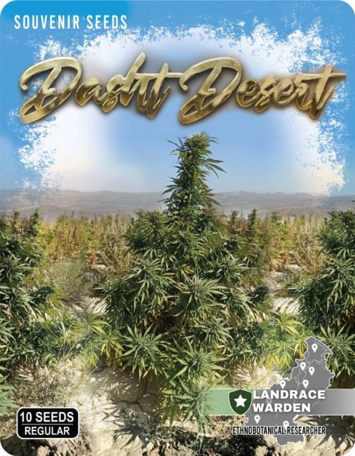 Landrace Warden Dasht Desert Regular Seeds