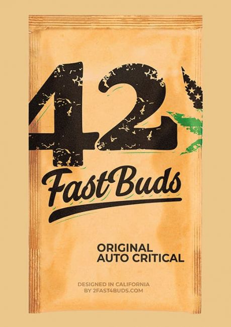 FastBuds Original Critical Auto Feminised Seeds