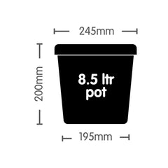 Autopot Easy2Grow solo pot, 8.5 l