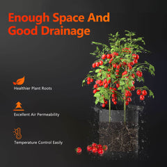 Spider Farmer 5 Gallon Planting Grow Bag 5 Packs 