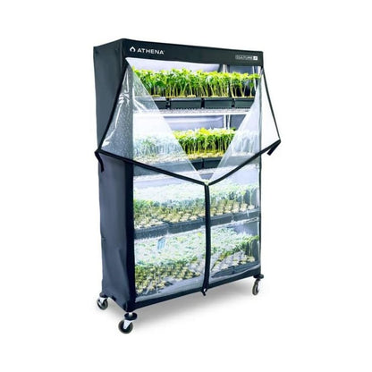 Athena VP Dome Propagator, 120x45x180 cm