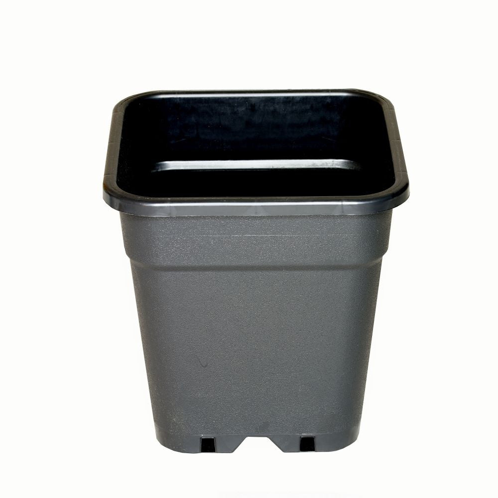 Wilma flowerpot plastic 31x31x32 cm - 18 l