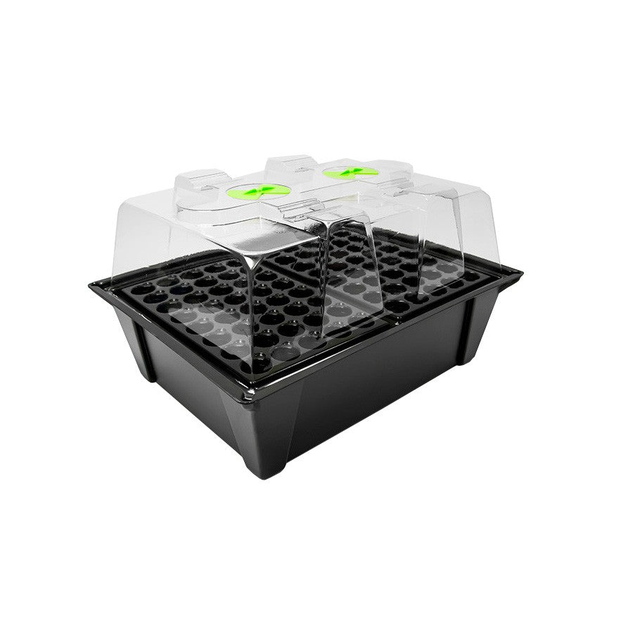 NutSystems X-Stream 80, aeroponischer Propagator