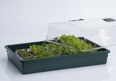 HGA Garden Propagator 64, hard plastic, unheated, 60x40x25 cm