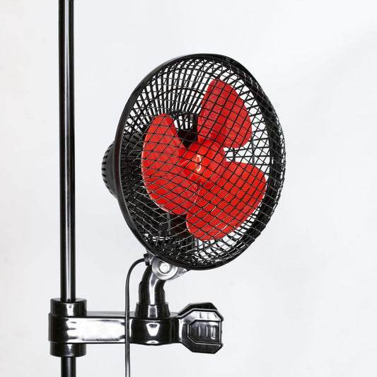 Urban Oscilfan 20W, oszillierender Ventilator mit zwei Geschwindigkeiten, Durchmesser 24 cm