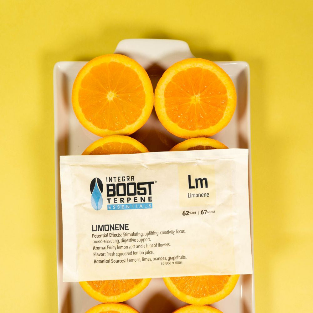 Integra Boost Terpene Essentials Limonene 67 g, 62%, 1 pc.