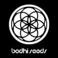 Bodhi Seeds Mindfulness Regular Seeds