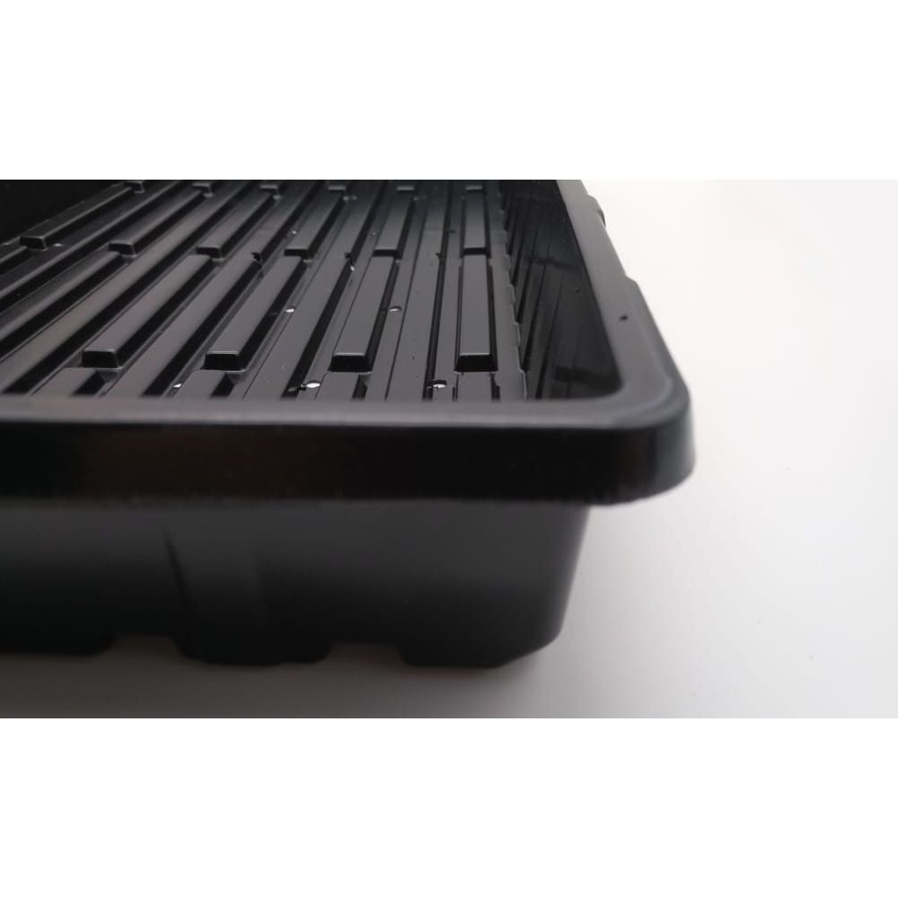 Microgreens tray with drainage 54x28x6 cm