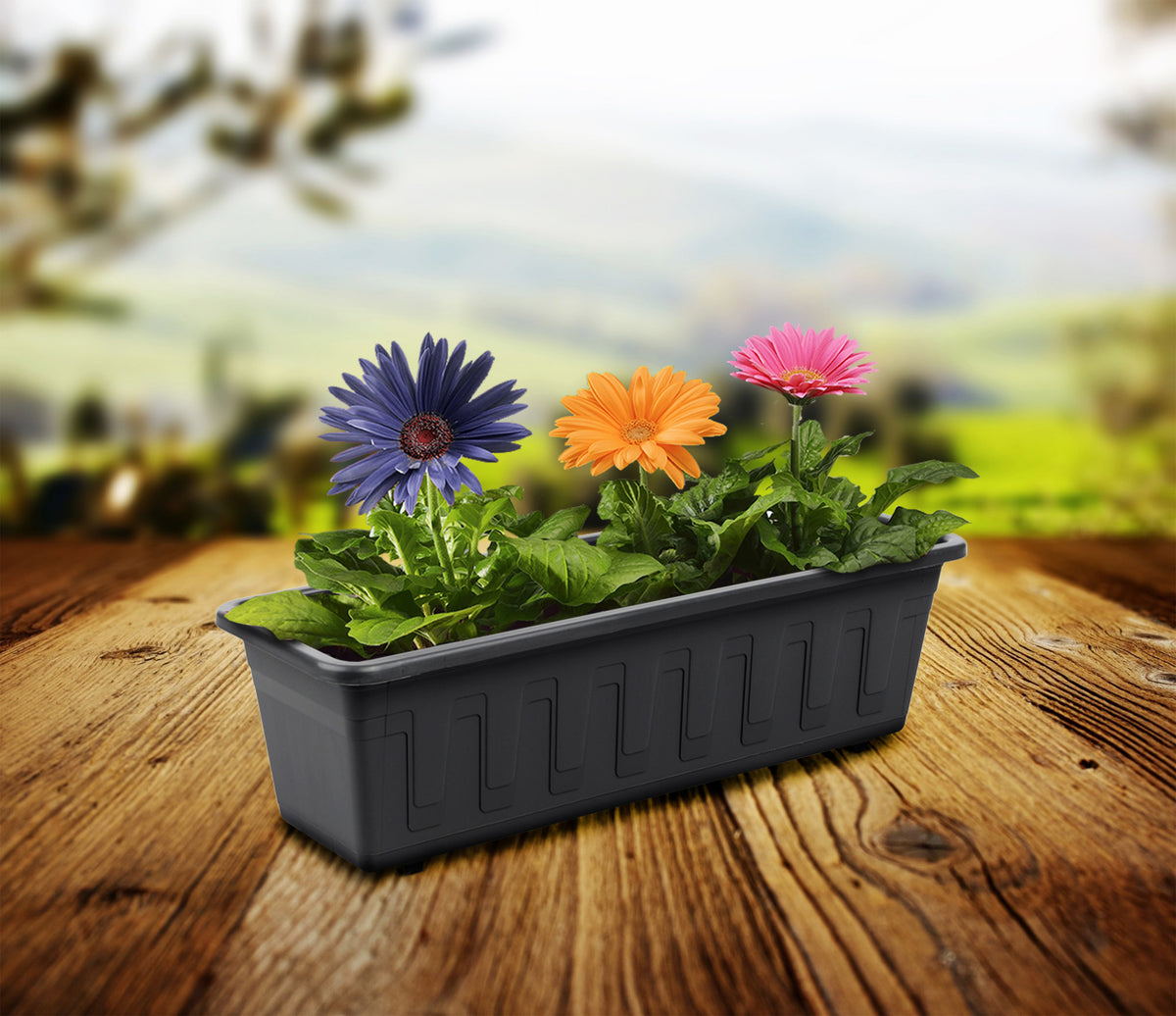 Garden box, 100cm anthracite length