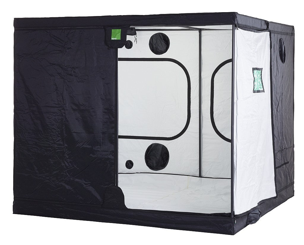 Budbox White PRO Titan III 300x300x200 cm