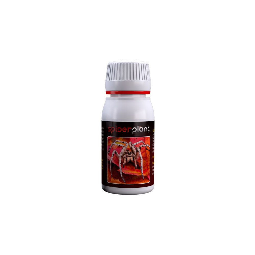 Agrobacterias Spider Plant, natürliches Insektizid 15 ml