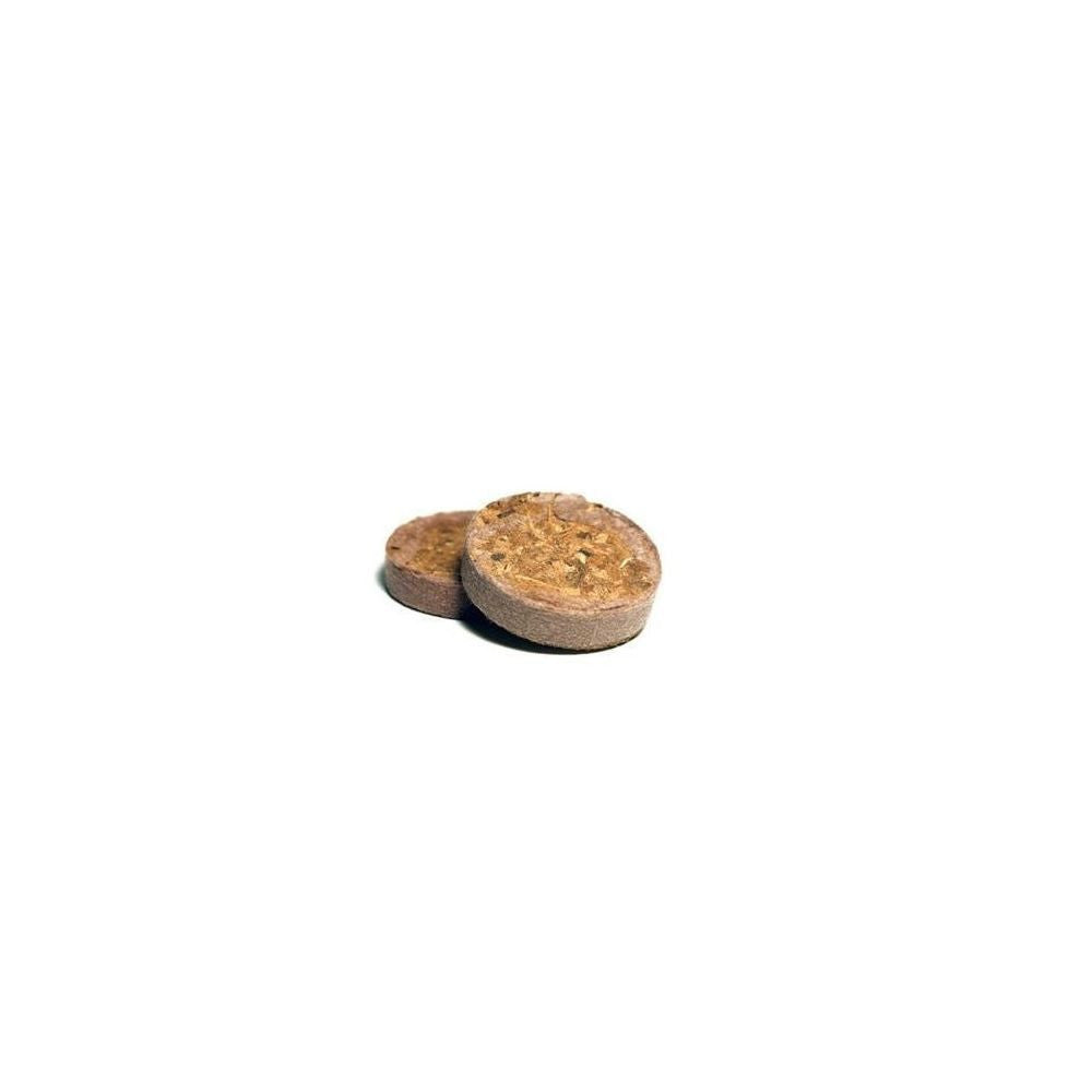 U Gro Plug Rhiza 38 mm 100 pieces, dehydrated coconut