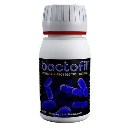 Agrobacterias Bactofil, positive Bakterien 50 g