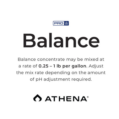 Athena PRO Line Balance 4.5 kg (10 lbs) BOX