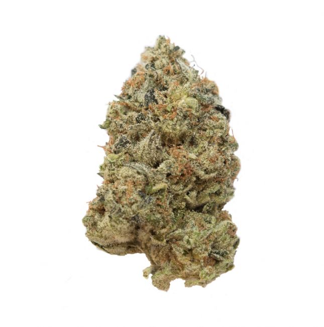 Amsterdam Genetics Tangerine G13 Feminised Seeds