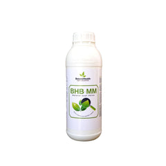 Botano Health BHB-MM Blätter Shiner, 1 l