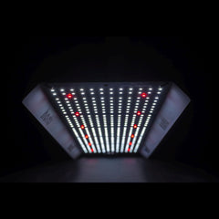 HortiONE LED 420 Quantum board 150W 2.9 µmol/J