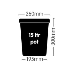 Autopot 1Pot solo Topf, 15 l
