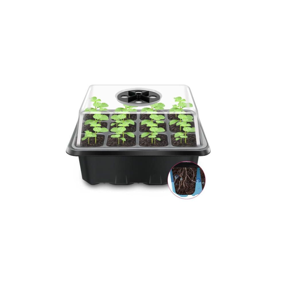 VF Mini Propagator with 12 plants including cutting accessories