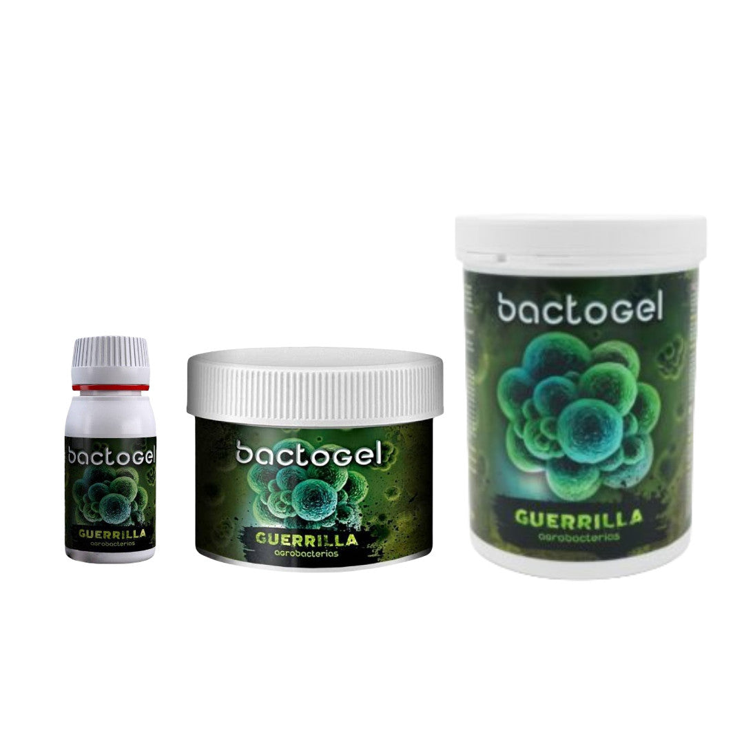 Agrobacterias Bactogel, organisches Stimulans 200 g