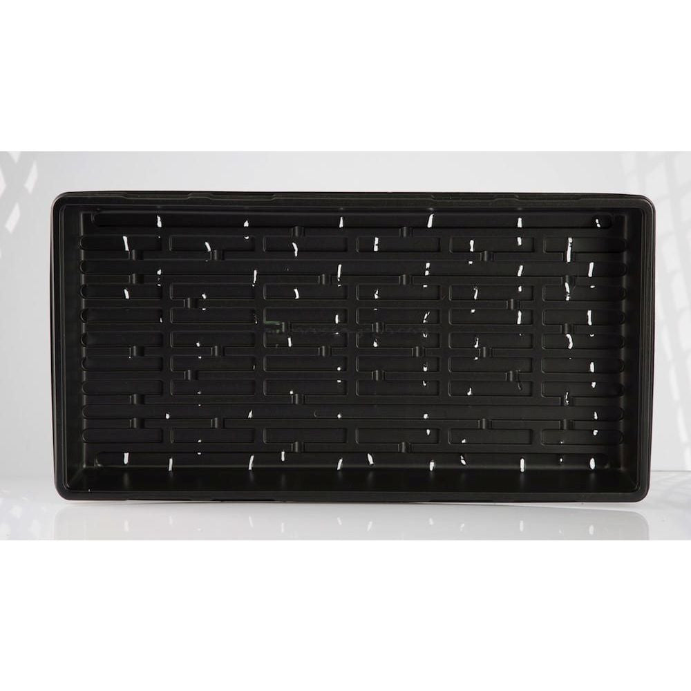 Microgreens tray with drainage 54x28x6 cm