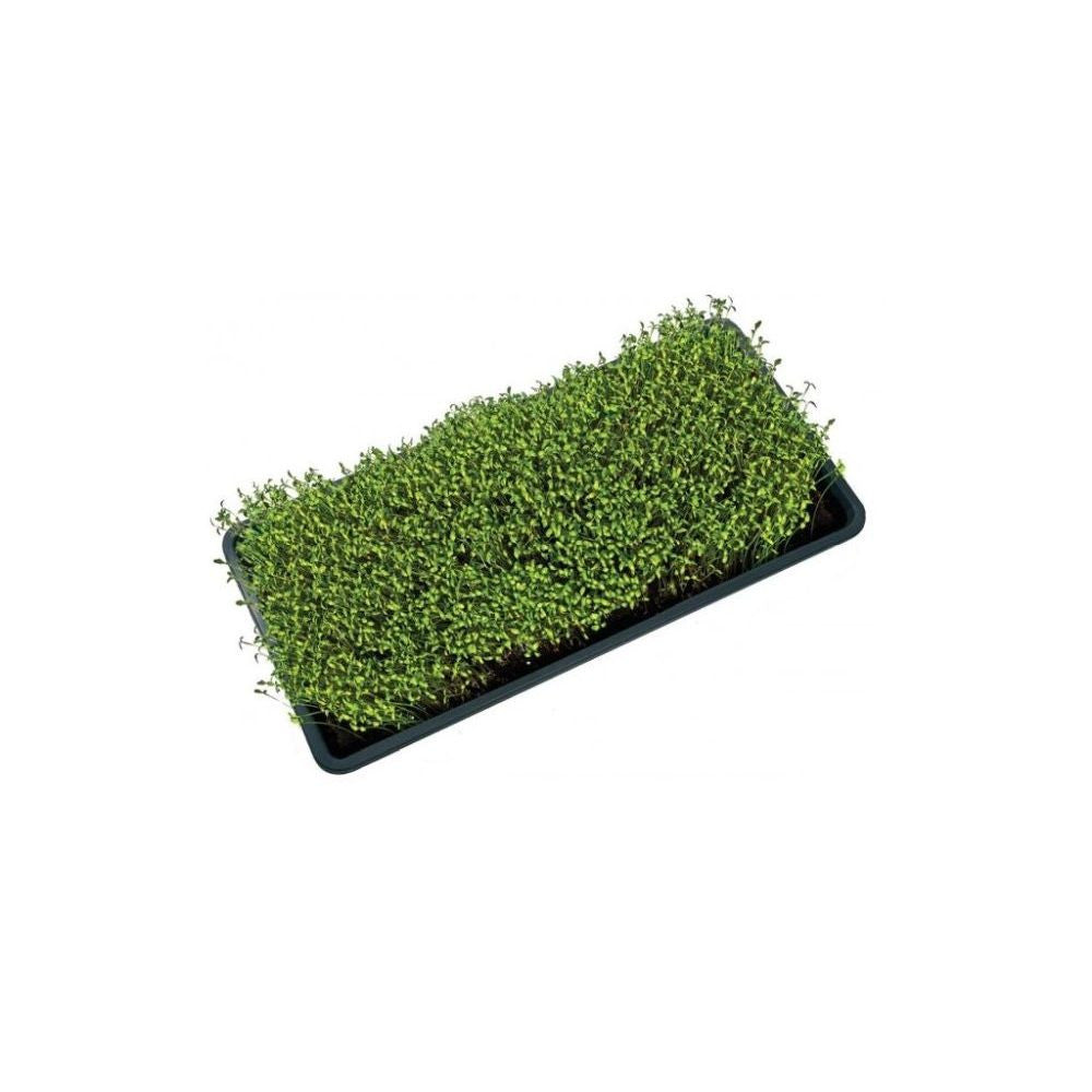 Garland plastic bowl microgreens tray with drainage 56x28x3 cm