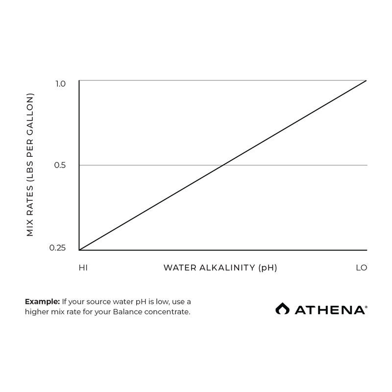 Athena PRO Line Balance 4.5 kg (10 lbs) BOX