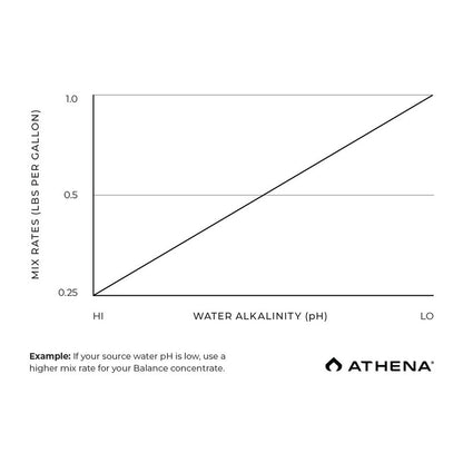 Athena PRO Line Balance 4.5 kg (10 lbs) BOX