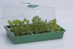 HGA Garden Propagator 43, hard plastic, unheated, 38x24x18 cm