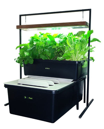 FishPlant Aquaponics Family Unit