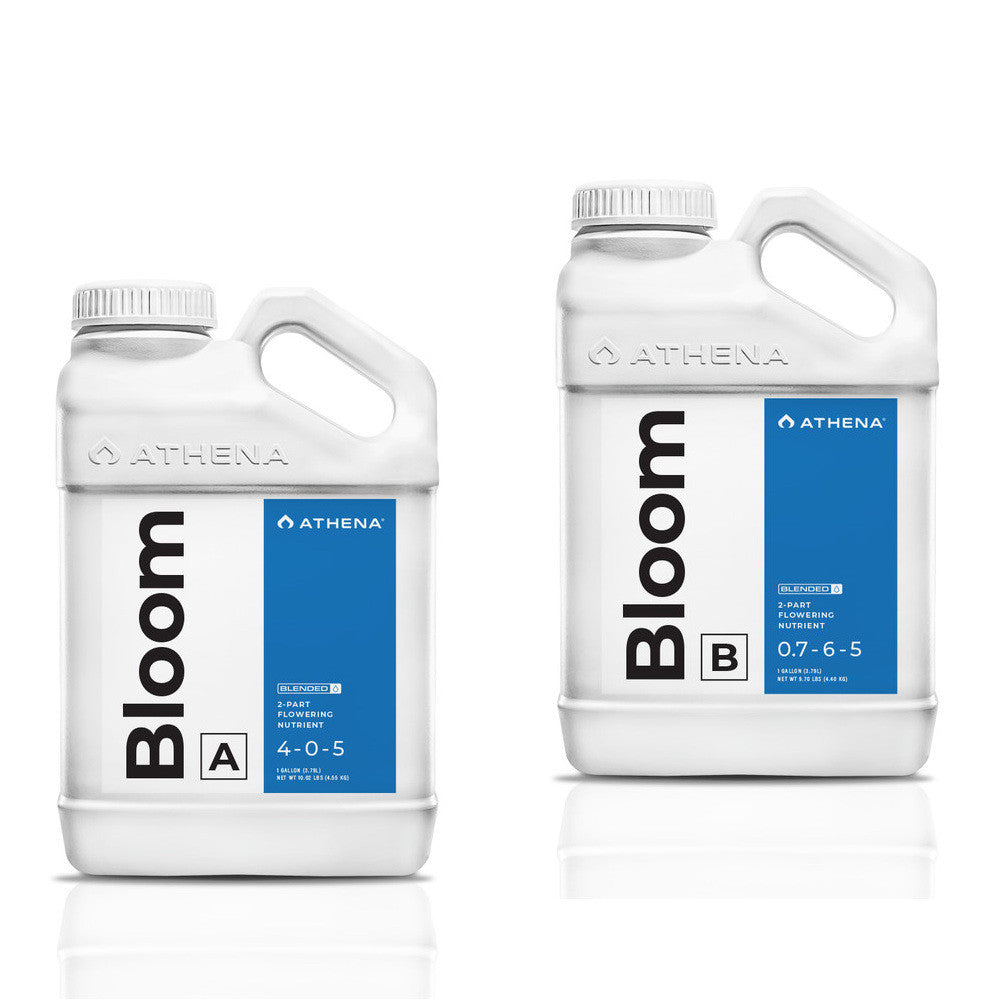 Athena Blended Line Bloom A+B 3.78 l (1 gal)