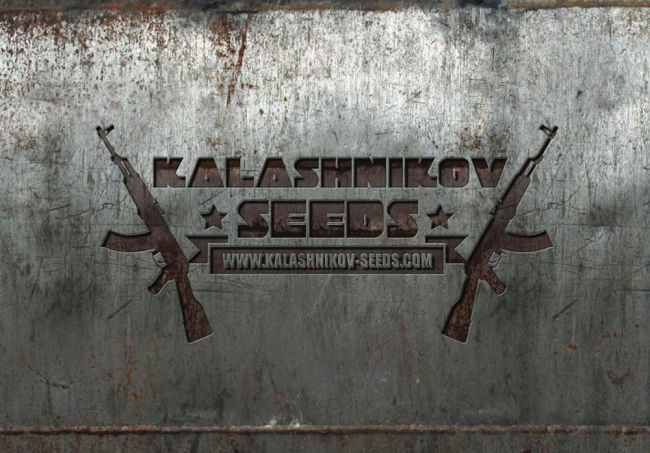 Kalashnikov Seeds Mix Feminised Seeds