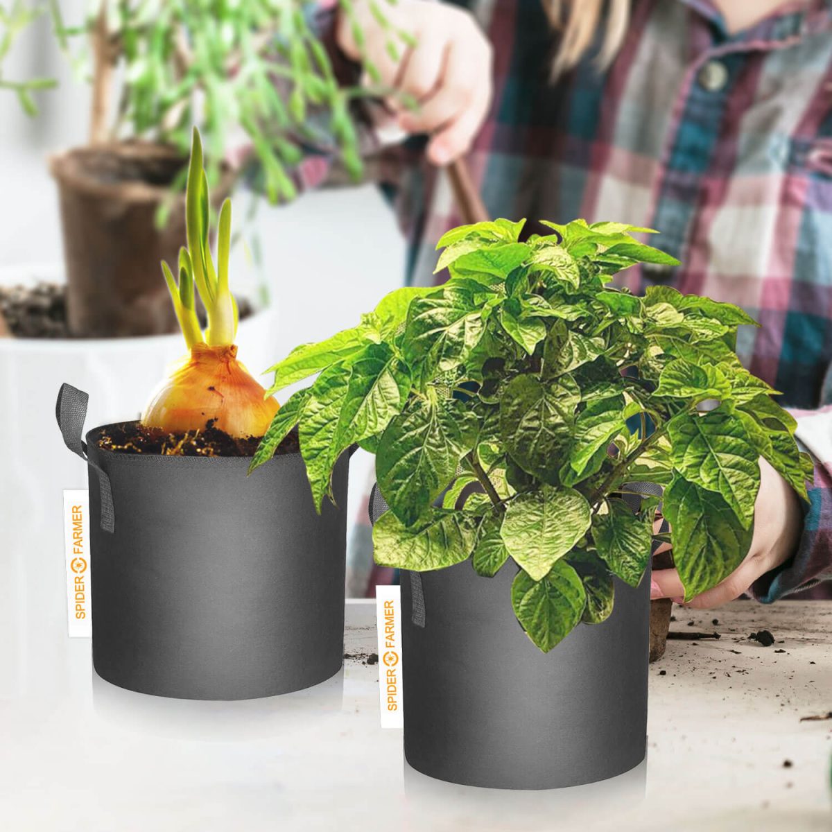 Spider Farmer 11 Gallon Planting Grow Bag 5 Packs Heavy Duty Plant Fabric Pots with Handles 